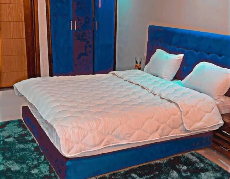Riad Dar Salam-1